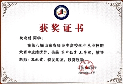2020师范从业技能大赛省三等奖