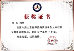2021师范从业技能大赛省一等奖