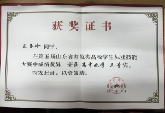 2017师范从业技能大赛省三等奖