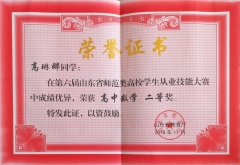 2018师范从业技能大赛省二等奖