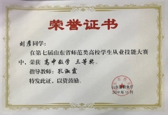 2019师范从业技能大赛省三等奖
