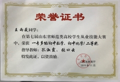 2019师范从业技能大赛省二等奖